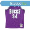 Mitchell & Ness Milwaukee Bucks #34 Ray Allen Swingman J