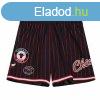 Mitchell & Ness shorts Chicago Bulls City Collection Mes