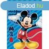 Disney Mickey polr takar