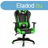 Delight Bemada BMD1106GR Gaming Chair Black/Green