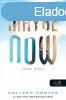 Colleen Hoover - Maybe Now - Taln most (Egy nap taln 2.)