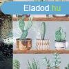 14150 - Cactus 3D kaktuszos sztatikus ablakflia, vegre/abl