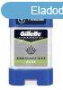 Gillette gl 70ml Aloe