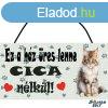 Cics falikp, Ragdoll cica