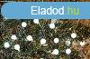 Fzr MagicHome Karcsony Cherry Balls, 100 LED hideg fehr,
