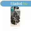 Paloma Illatost - Paloma Gold - Romeo (P10157)