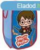 Harry Potter Magic jtktrol 36x58 cm