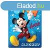 Disney Mickey polr takar