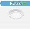 LED panel kör alakú, 24W 2700K 300X35