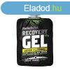 Biotech Recoverygel (60gx24db)