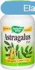 NATURES WAY ASTRAGALUS KAPSZULA 100 DB