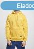 Starter Small Logo Hoody golden