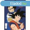 Dragon Ball polr takar 100x140cm