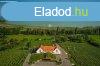 Elad 750m2-es Villa, kastly, kria, Balatonrendes