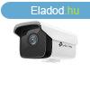 TP-Link IP cskamera - C300HP-4 (3MP, 4mm, kltri IP67, H26