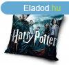 Harry Potter Triwizard Tournament prnahuzat 40x40 cm Velr