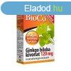 BioCo Ginkgo Biloba kivonat 120 mg trend-kiegszt tablett