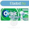 Orbit Refreshers Handypack Spear 15,6g