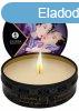 SHUNGA - Mini Caress by Candlelight Exotic Fruits Massage Ca