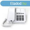 Vezetkes Telefon Gigaset S30054-H6538-R102