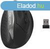 Dicota Relax Wireless Ergonomic Mouse Black