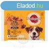 PEDIGREE alutas 4-pack marha&brny, pulyka&rpa 4*1