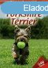 Hzi kedvenceink 1. : Yorkshire terrier