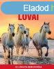 A vilg legszebb lovai - 22 lfajta bemutatsa
