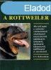 A rottweiler