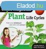 12 rszes mgneses kszlet, Plant Life Cycle Learning Resour