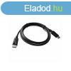 Displayport kbel