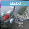 Microsoft Flight Simulator X: Steam Edition - Piper Aztec Ad