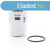 Hidraulikaolaj szr MANN-FILTER WD10017X - Yale & Towne