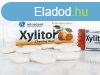 Xylitol rggumi friss gymlcs 30 db