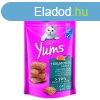 Vitakraft Cat Yums Jutalomfalat Puha Lazac 40g