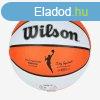 WILSON WNBA AUTHENTIC SERIES OUTDOOR BASKETBALL 6 kosrlabda