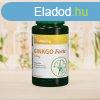 Vitaking GINKGO BILOBA FORTE 120MG 60 db