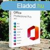 Microsoft Office 2021 Professional Plus / Elteleptve