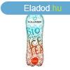 Hllinger BIO Ice Tea szibarack 500ml