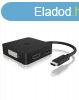 RaidSonic Icy Box USB-C apa - VGA/HDMI/DisplayPort/DVI-D any