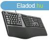 C-Tech KB-113E USB Ergo CZ/SK, fekete