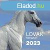 Lovak falinaptr - 2023