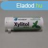 Xylitol rggumi fodormenta 30 db