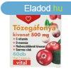 DR.HERZ TZEGFONYA 500MG KAPSZULA