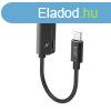 Budi Lightning - AUX mini jack 3,5 mm + Lightning adapter (f