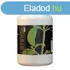 Stevia Crysa Nova Por 50 g