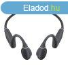 Earphones QCY T25 (dark grey)