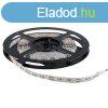 STELLAR LED CSK SMD3528 4,8W 60PCS/M IP20 6000-6500K 99XLED