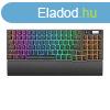 Mechanical keyboard Royal Kludge RK96 RGB, Brown switch (bla