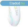 Gaming mouse onikuma CW905 white wired